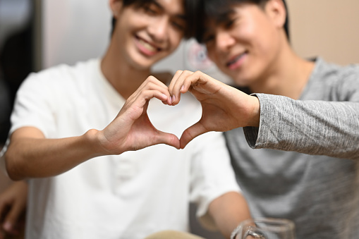 Loving homosexual couple making heart with hands and smiling to camera. LGBT, relationships and equality concept.
