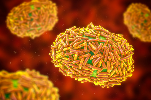 Virus monkeypox, ilustración 3D photo