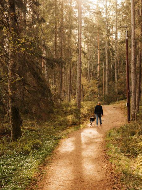istock Man and dog outdoors in nature walking in forest on path 1398949020
