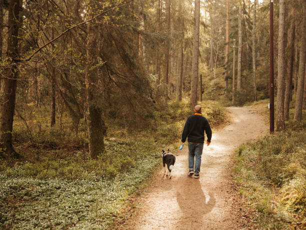 istock Man and dog outdoors in nature walking in forest on path 1398949083