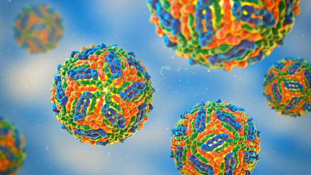 virus del nilo occidentale, wnv, illustrazione 3d - pathogen foto e immagini stock