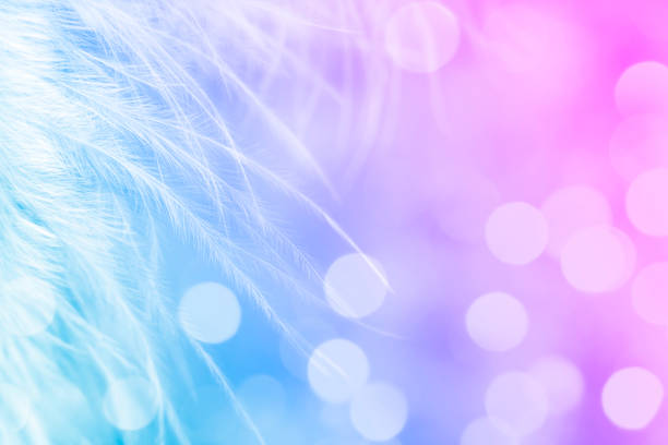 istock Feather extreme close-up with bokeh 1398951379