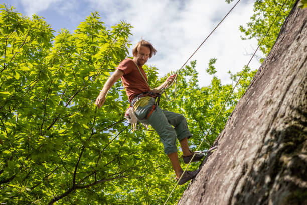 istock View of young man climbing vertical rock face 1398952650