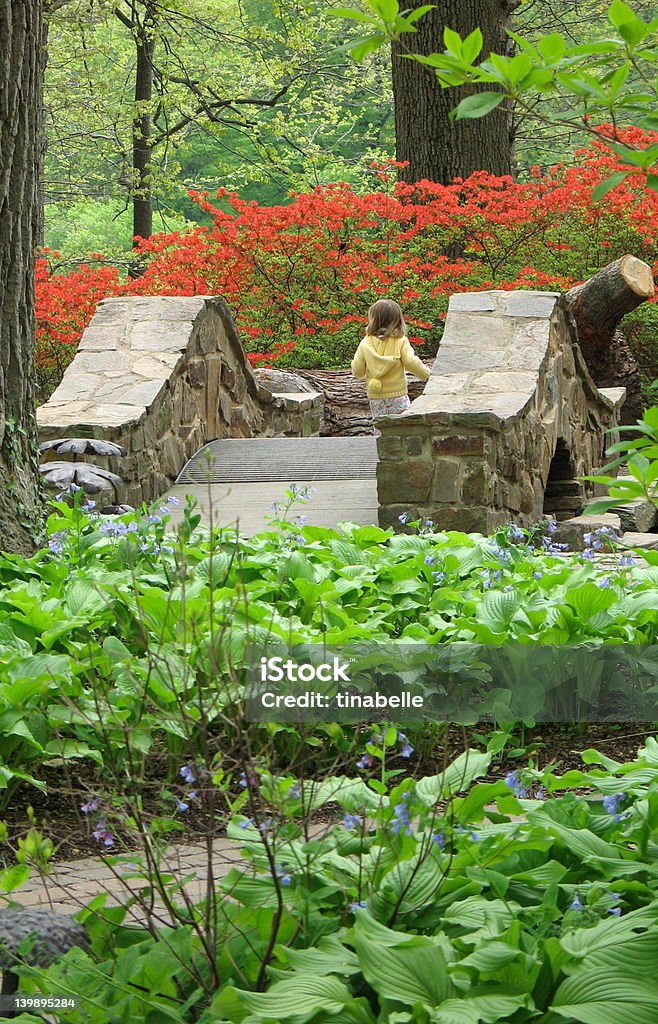 Garota de atravessar a ponte de pedra - Foto de stock de Mansão royalty-free