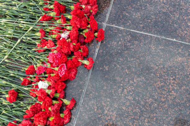 istock lots of carnations on granite slabs. 1398954008