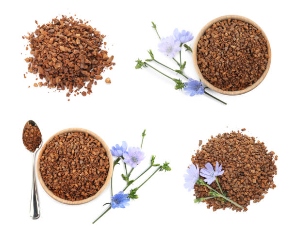 Set with chicory granules and flowers on white background, top view