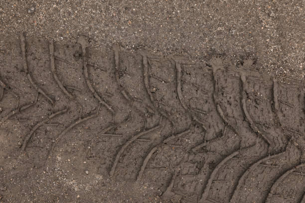 istock Texture of wet ground surface as background, top view 1398954377