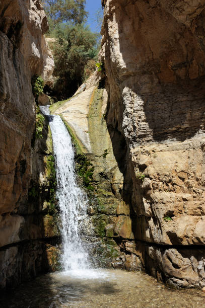 istock Streams and waterfalls Nature Reserve Ein Gedi 1398955392