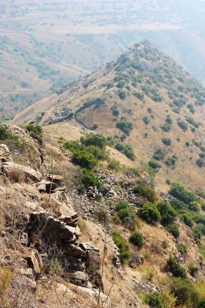 istock Gamla Nature Reserve in Israel 1398955419