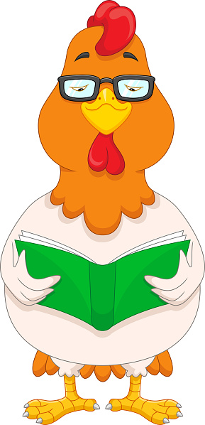 vector illustration of cartoon cute chicken reading a book