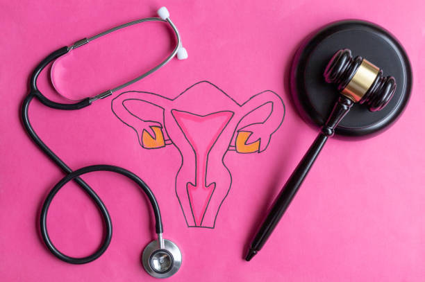 disegno del sistema riproduttivo femminile con martelletto e stetoscopio del giudice - aborto foto e immagini stock