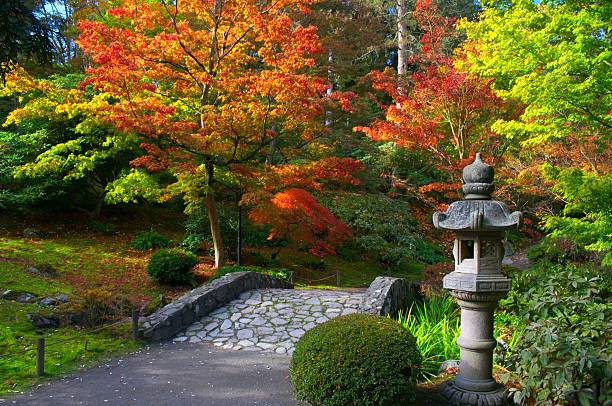 istock Japanese Garden in the Fall 139896052