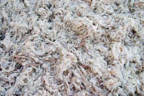 Close up of a pile of wool cut straight from sheep.