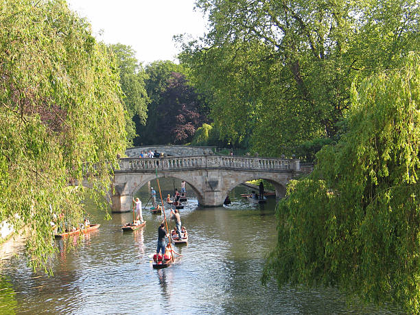 Punting, Cambridge Punting on the Cam, Cambridge, England. cambridgeshire stock pictures, royalty-free photos & images