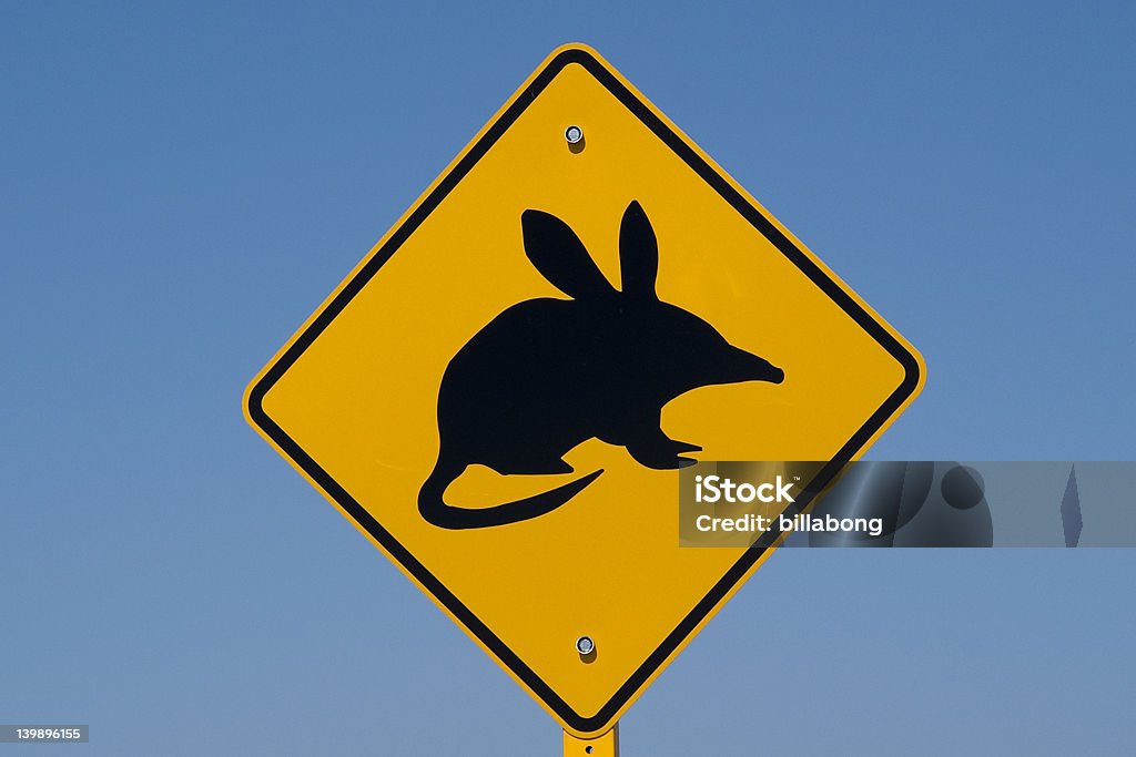 Australian bilby segnale - Foto stock royalty-free di A forma di croce