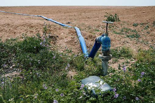 Irrigation pipes and hoses in an agricultural field