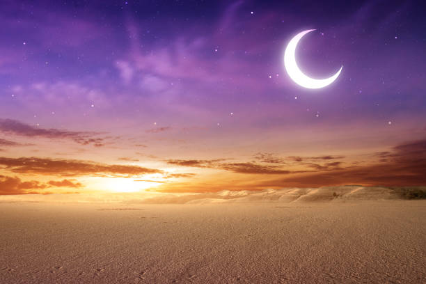 istock Views of sand dune 1398962670