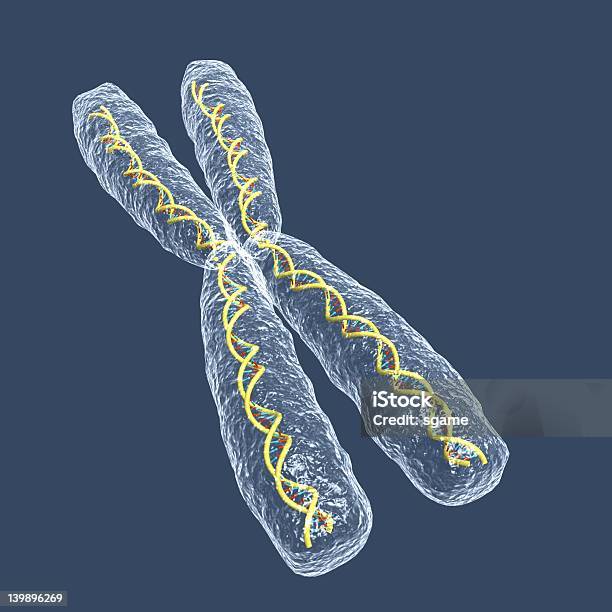 Foto de Cromossoma e mais fotos de stock de Amostra de Soro - Amostra de Soro, Ampliação, Anatomia