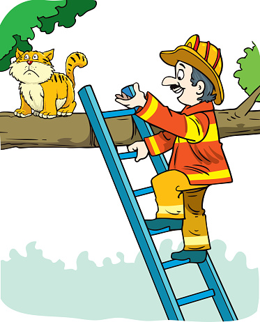 Brave fireman rescues cute cat on tree climbing ladder