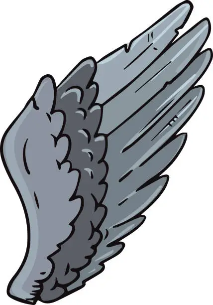 Vector illustration of Bird's wing