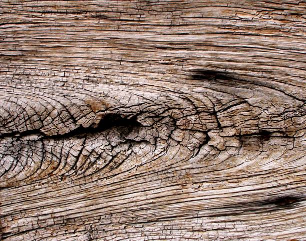 madeira velha - wood cracked single line striped - fotografias e filmes do acervo