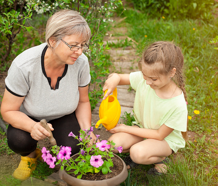 grandmother and granddaughter planting a flower outdoors close up