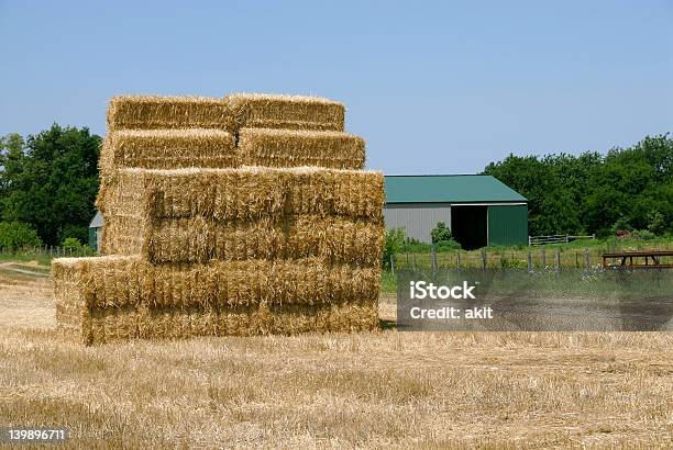 Balla Di Fieno Stack - Fotografie stock e altre immagini di Agricoltura - Agricoltura, Albero, Alfalfa