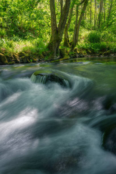 istock The water of a river flows over the rocks and under centuries old oak trees 1398967211