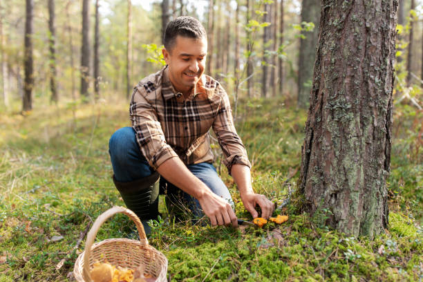 istock happy man with basket picking mushrooms in forest 1398968634