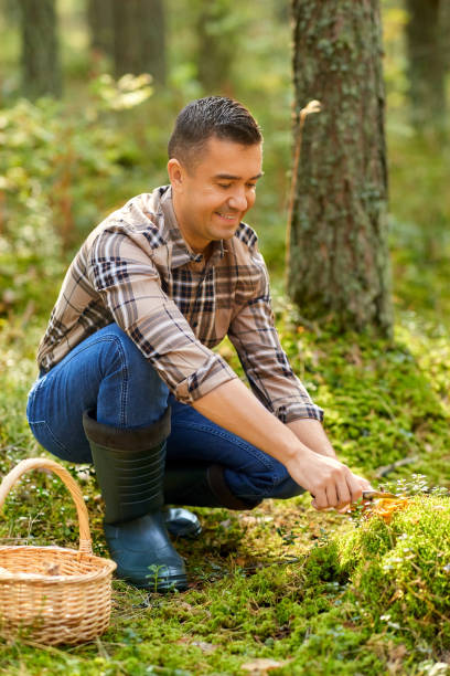 istock happy man with basket picking mushrooms in forest 1398968832