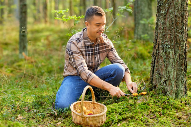 istock happy man with basket picking mushrooms in forest 1398969244