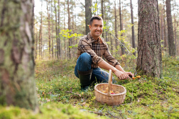 istock happy man with basket picking mushrooms in forest 1398969325