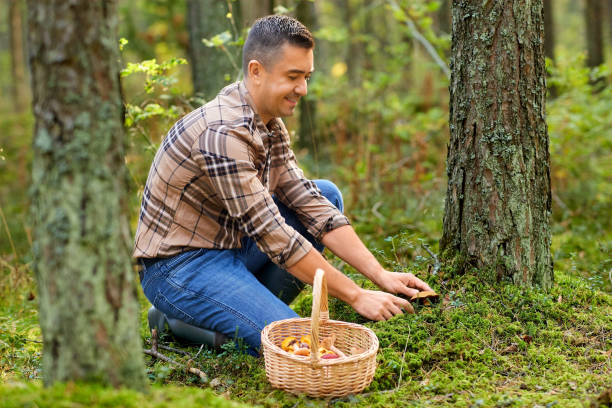 istock happy man with basket picking mushrooms in forest 1398969374
