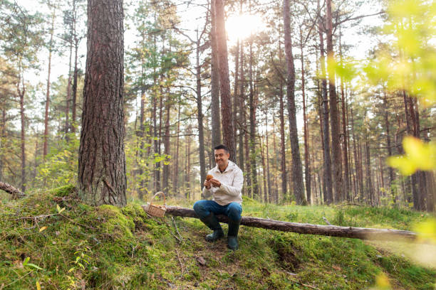 istock man with basket picking mushrooms in forest 1398970685