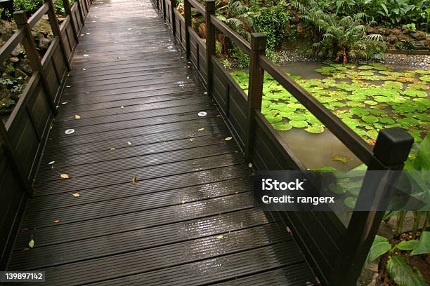 Garden View Stock Photo - Download Image Now - Bridge - Built Structure, Design, Drop
