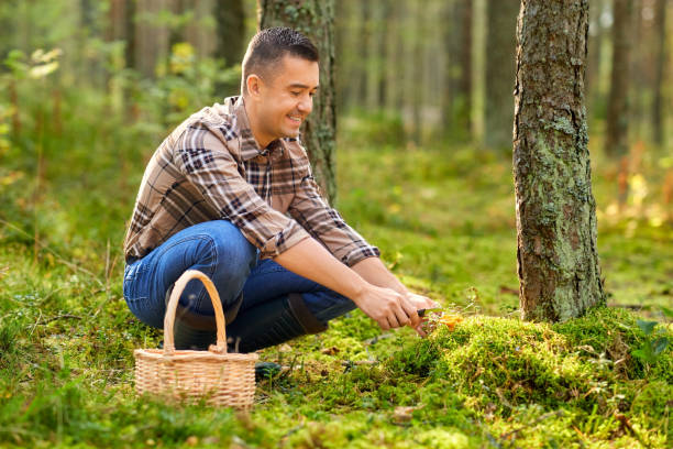 istock happy man with basket picking mushrooms in forest 1398971756