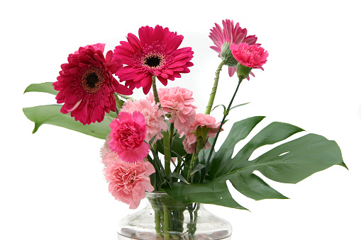 Pink Gerberas and carnations in the corner of frame