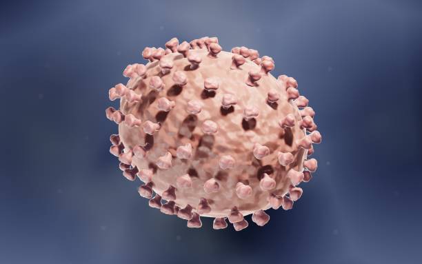 Monkeypox or Smallpox virus 3d illustration of Monkeypox or Smallpox virus variola major stock pictures, royalty-free photos & images