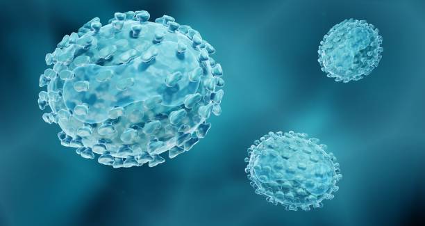Small pox or Monkeypox viruses 3d illustration of Smallpox or Monkeypox viruses variola major stock pictures, royalty-free photos & images