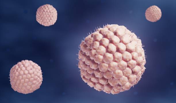 windpocken und gürtelrose verursachen virus varicella zoster - zoster stock-fotos und bilder