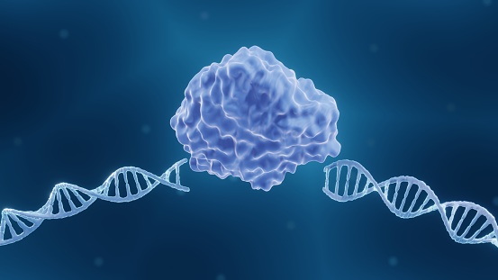 CRISPR or Endonuclease enzyme, 3d illustration