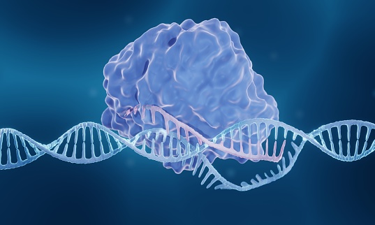 CRISPR-Cas9 genome editing enzyme, 3d illustration