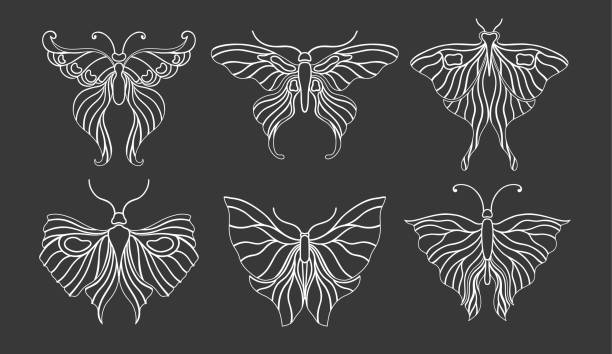 butterflycolor Art nouveau style butterfly basic element. 1920-1930 years vintage design. Symbol motif design. Vector illustration. butterfly tattoo stencil stock illustrations