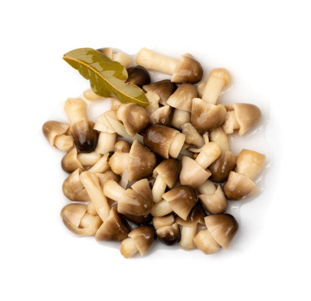 istock Pickled Straw Mushrooms Isolated 1398973560