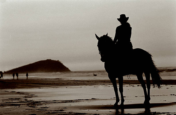 Horse & Rider stock photo