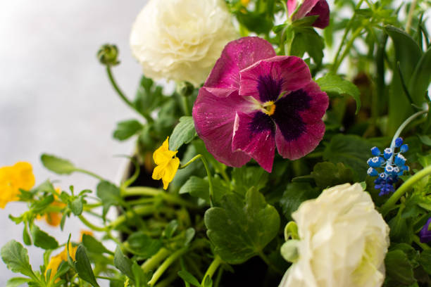 istock Vase with beautiful flowers 1398974577