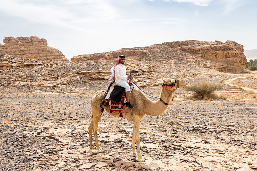 Desert portrait of Saudi traveller riding dromedary camel