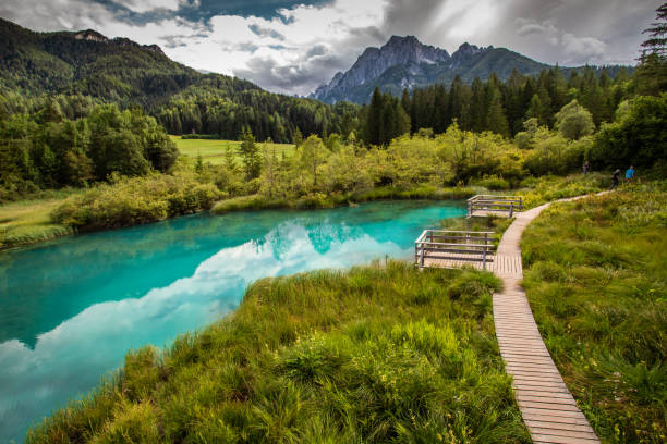istock Nature reserve Zelenci 1398975589