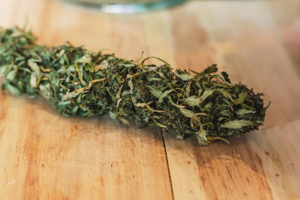 istock close up cannabis dry on table background 1398981000