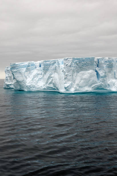 istock Antartica - Tabular Iceberg in Bransfield Strait 1398981522
